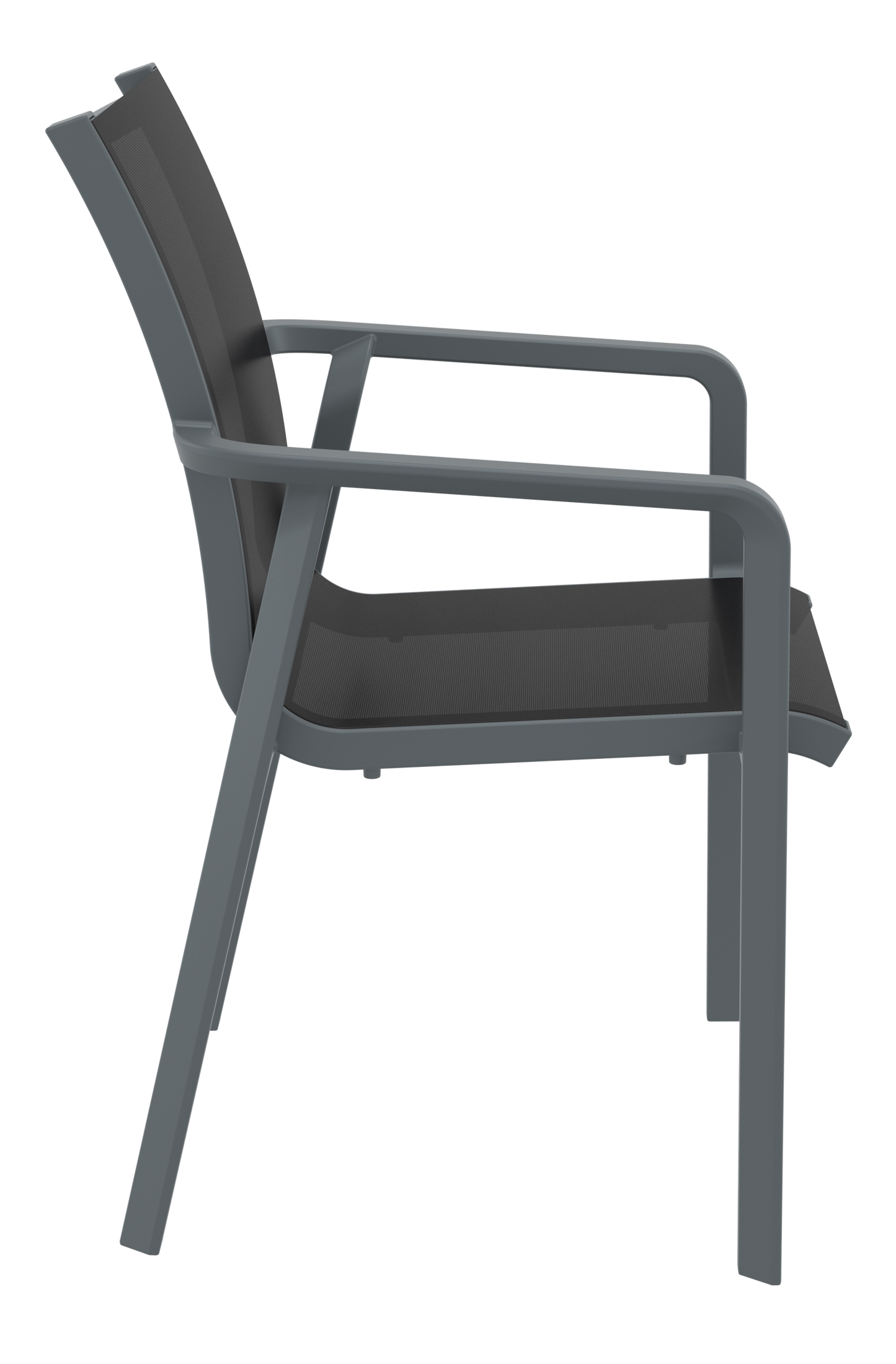 Siesta Pacific Arm Chair